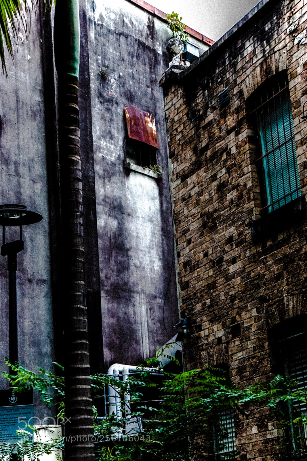 Sony a6000 sample photo. Texture photography