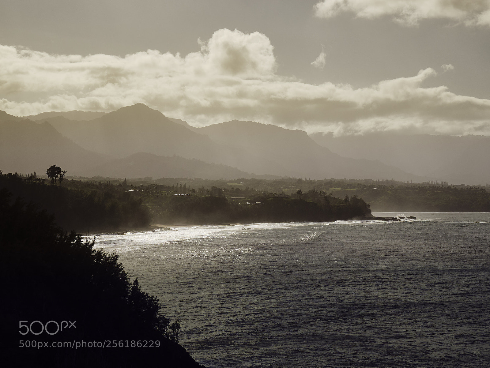 Panasonic Lumix DMC-G85 (Lumix DMC-G80) sample photo. Hawaiian coastline 2 photography