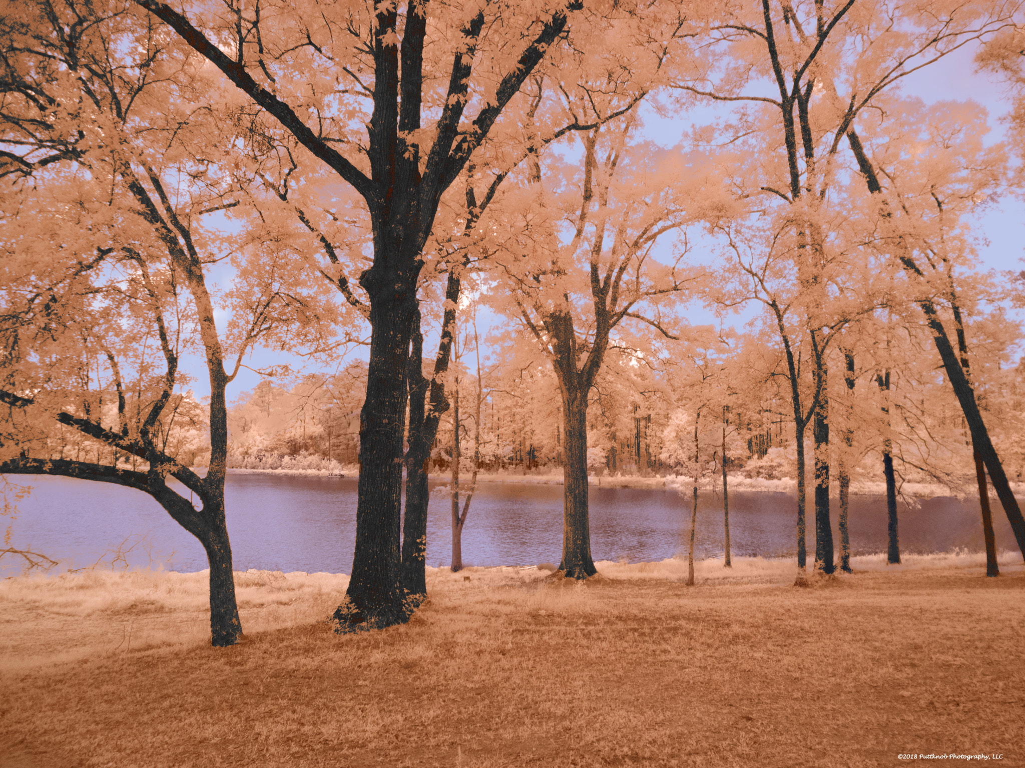 Canon PowerShot G10 sample photo. Lake shore in ir, near pitkin, la photography