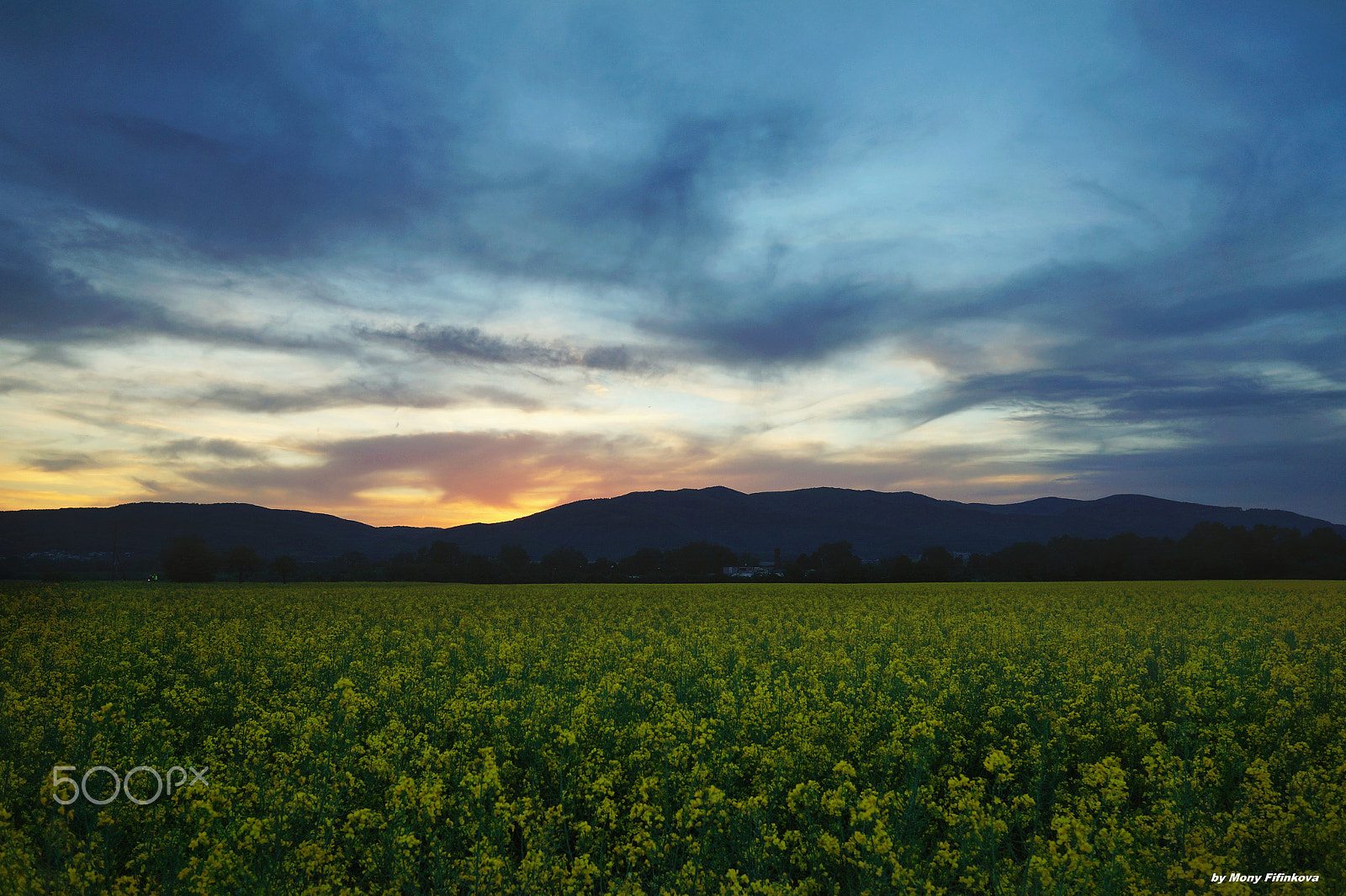 Sigma 19mm F2.8 EX DN sample photo. Sunset and yellow bath photography