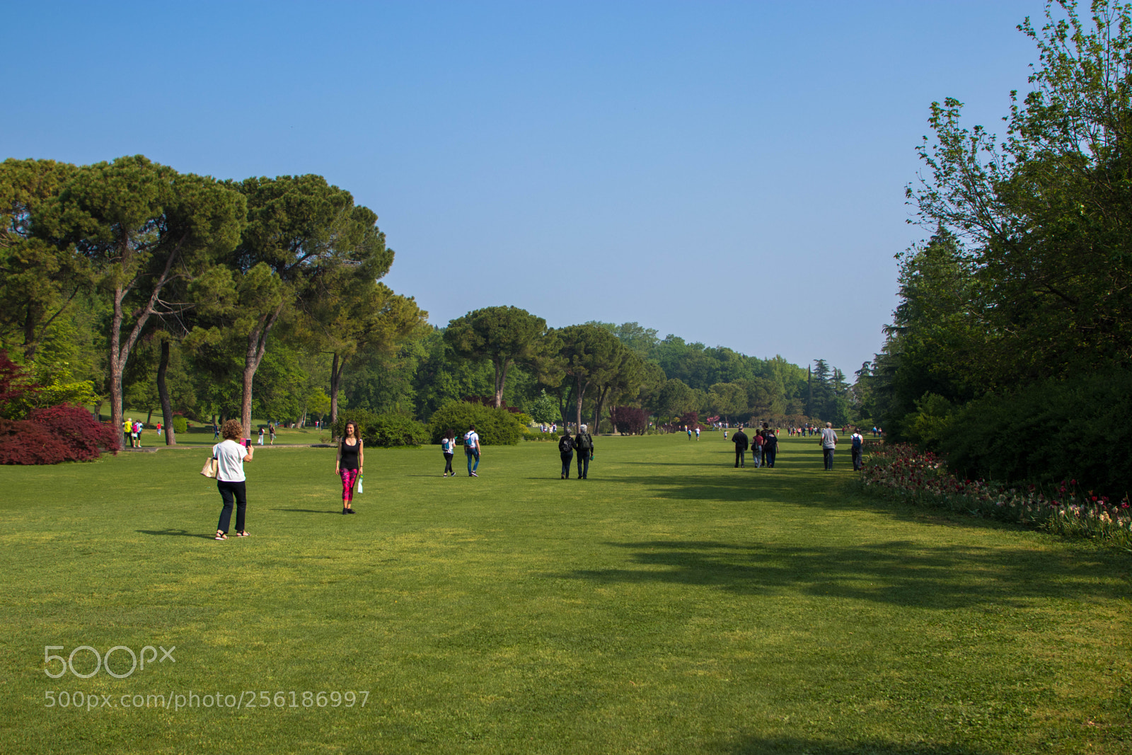 Canon EOS 80D sample photo. Sigurtà+ borghetto photography