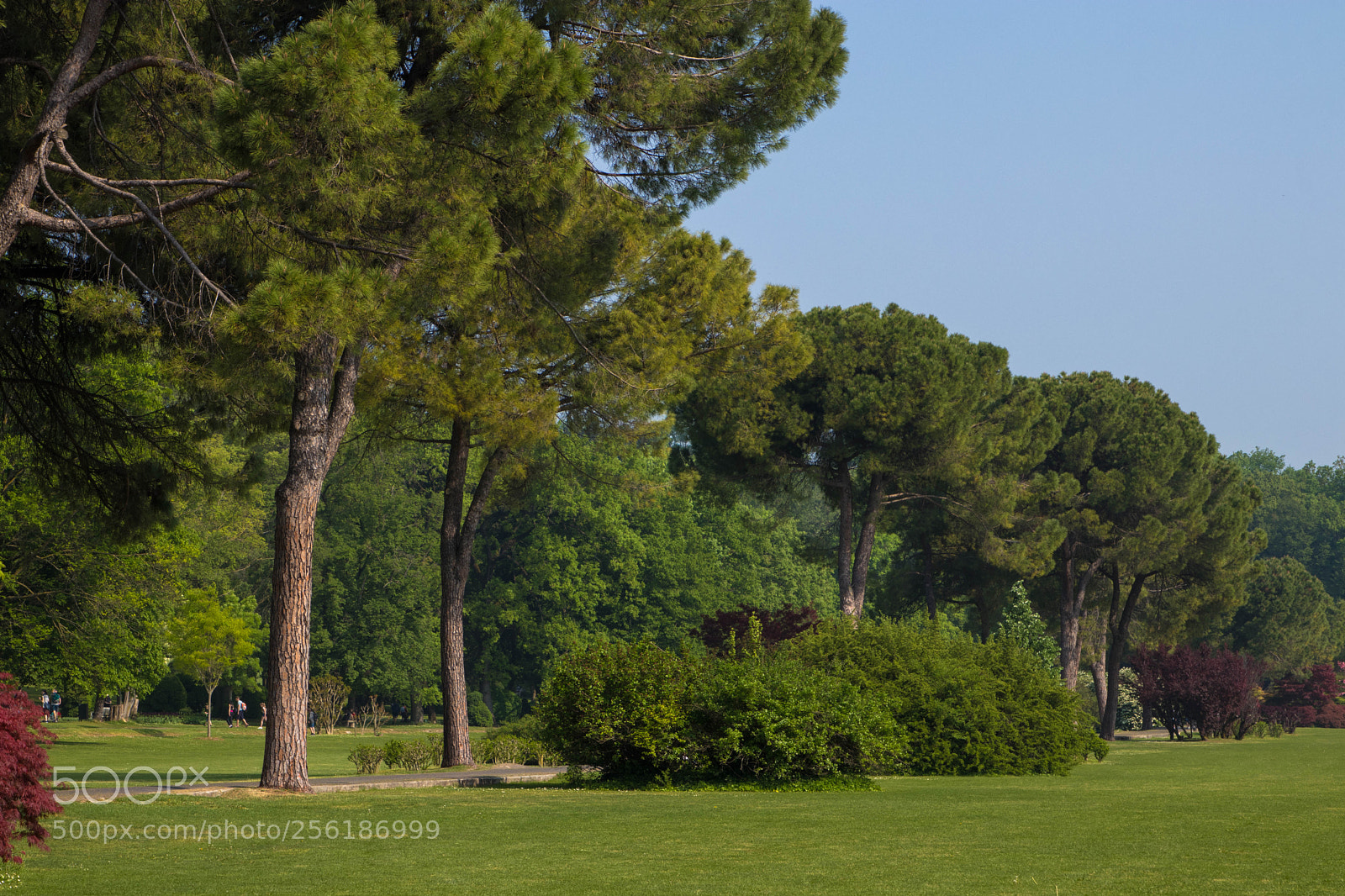 Canon EOS 80D sample photo. Sigurtà+ borghetto photography