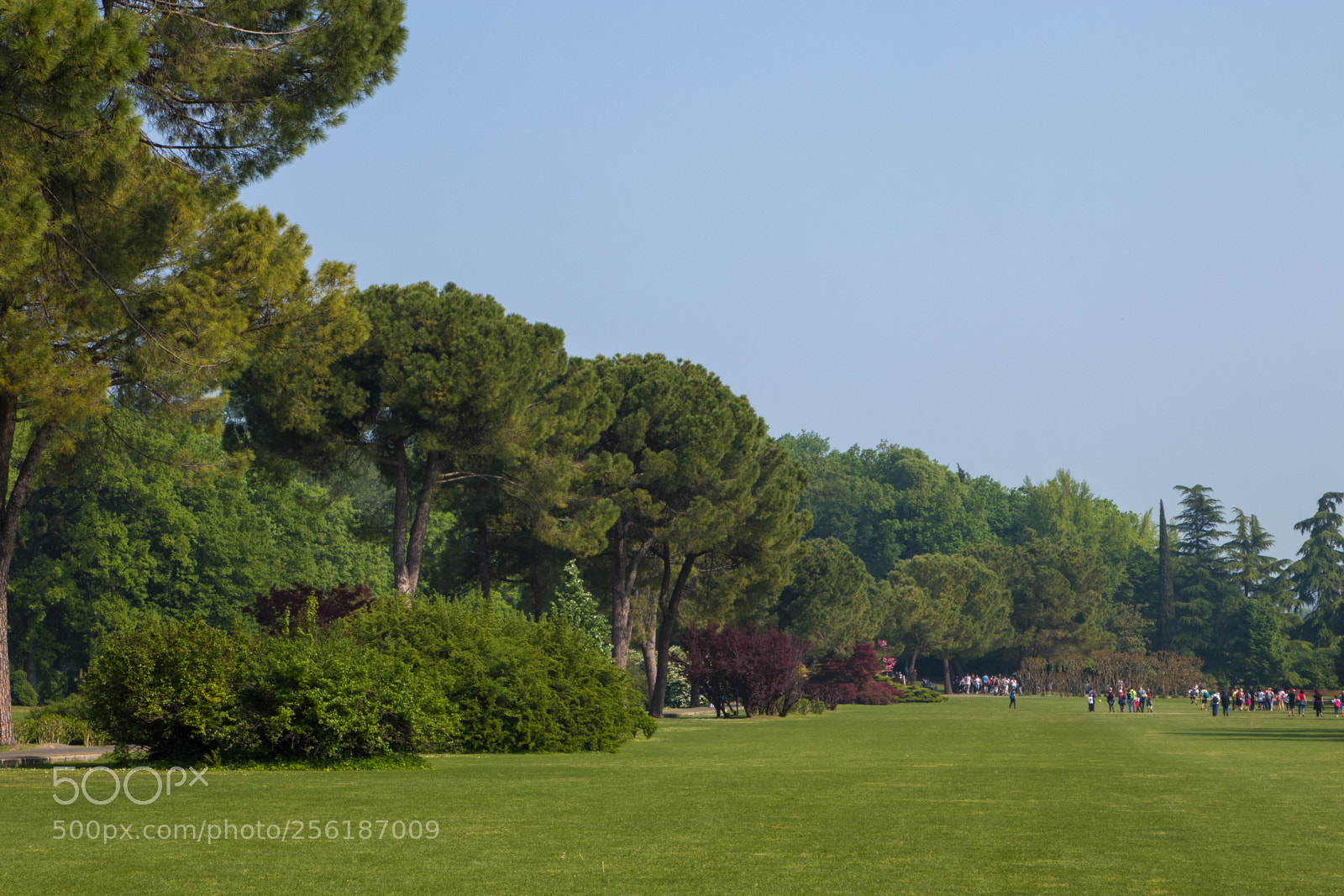 Canon EOS 80D sample photo. Sigurtà+ borghetto photography