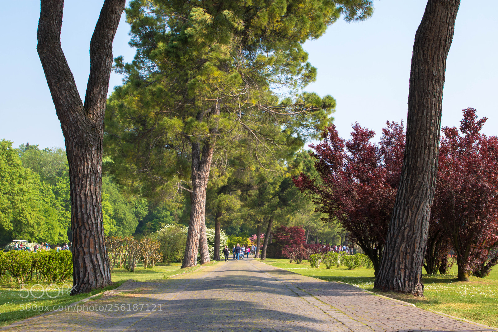 Canon EOS 80D sample photo. Sigurtà+ borghetto photography