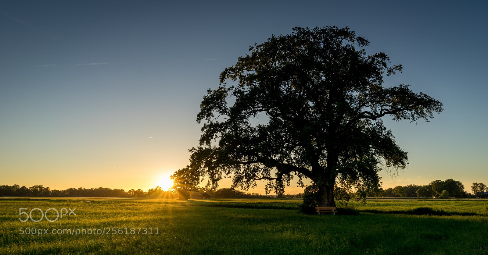 Sony a7 II sample photo. Lachsgang sunset stroll photography