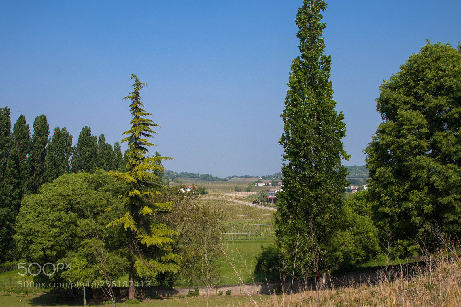 Canon EOS 80D sample photo. Sigurtà+ borghetto photography