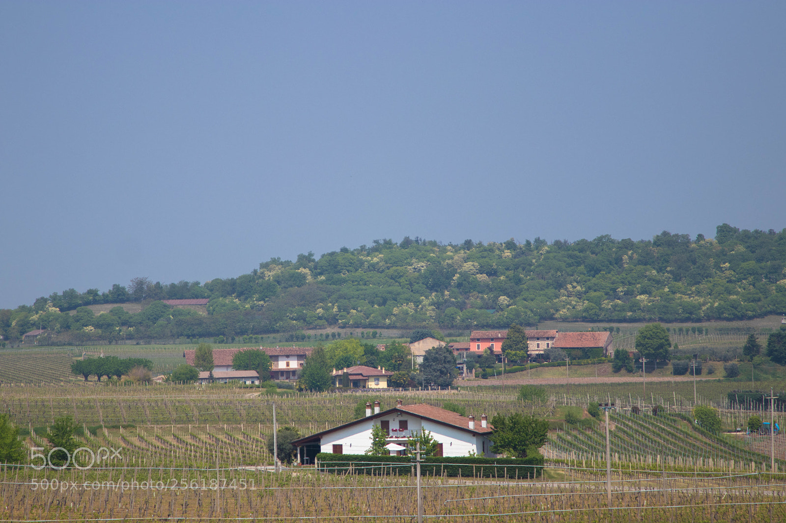 Canon EOS 80D sample photo. Sigurtà+ borghetto photography