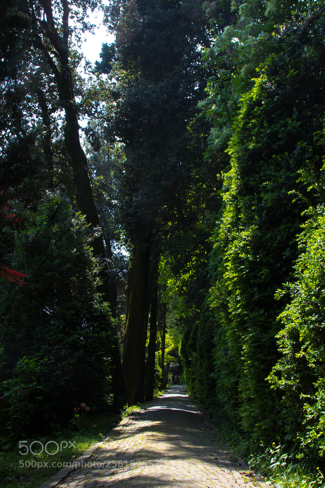 Canon EOS 80D sample photo. Sigurtà+ borghetto photography