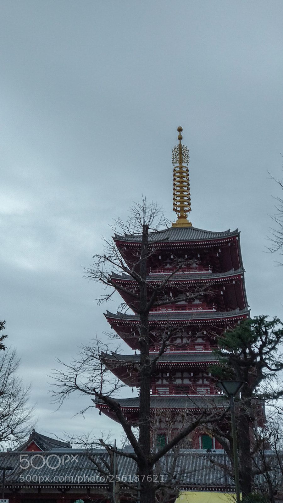 Xiaomi Mi A1 sample photo. Sensoji temple photography