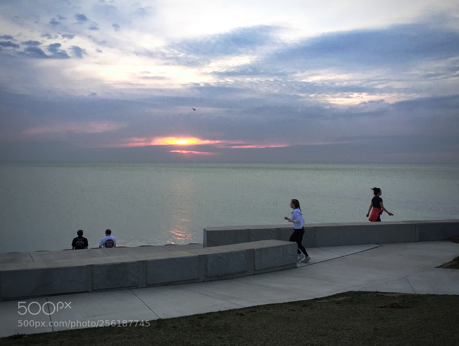 Apple iPhone 6 sample photo. Perfect morning routine photography