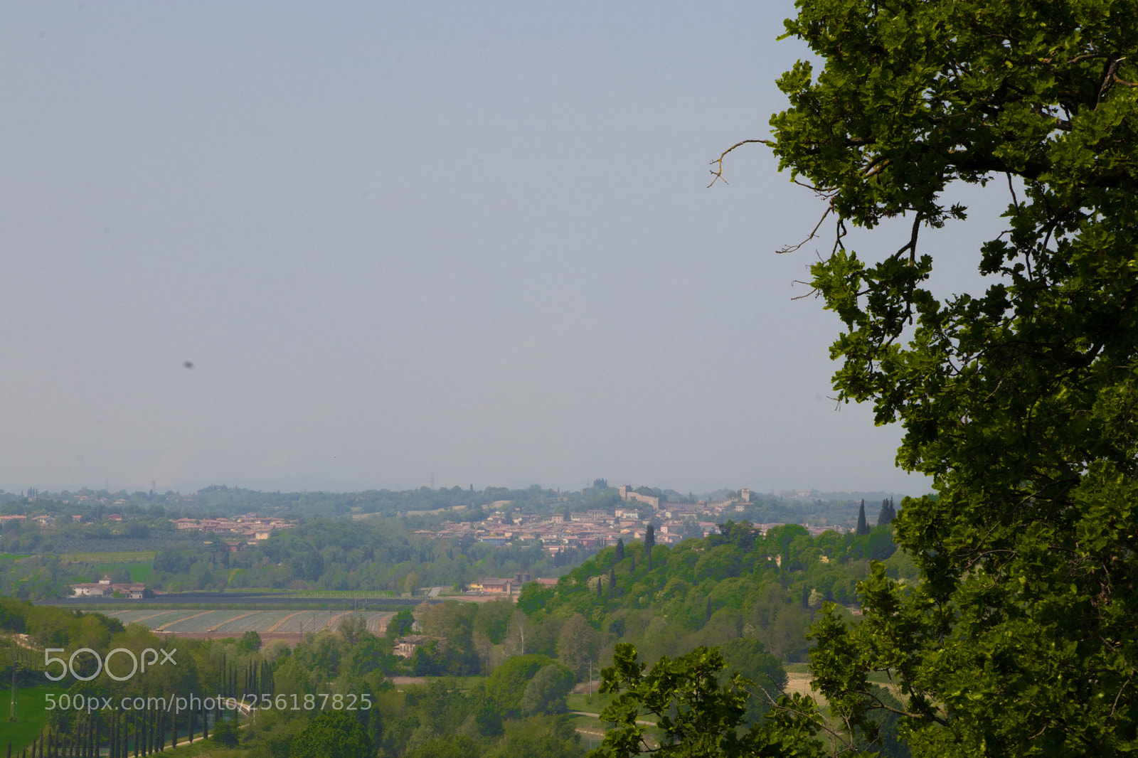 Canon EOS 80D sample photo. Sigurtà+ borghetto photography