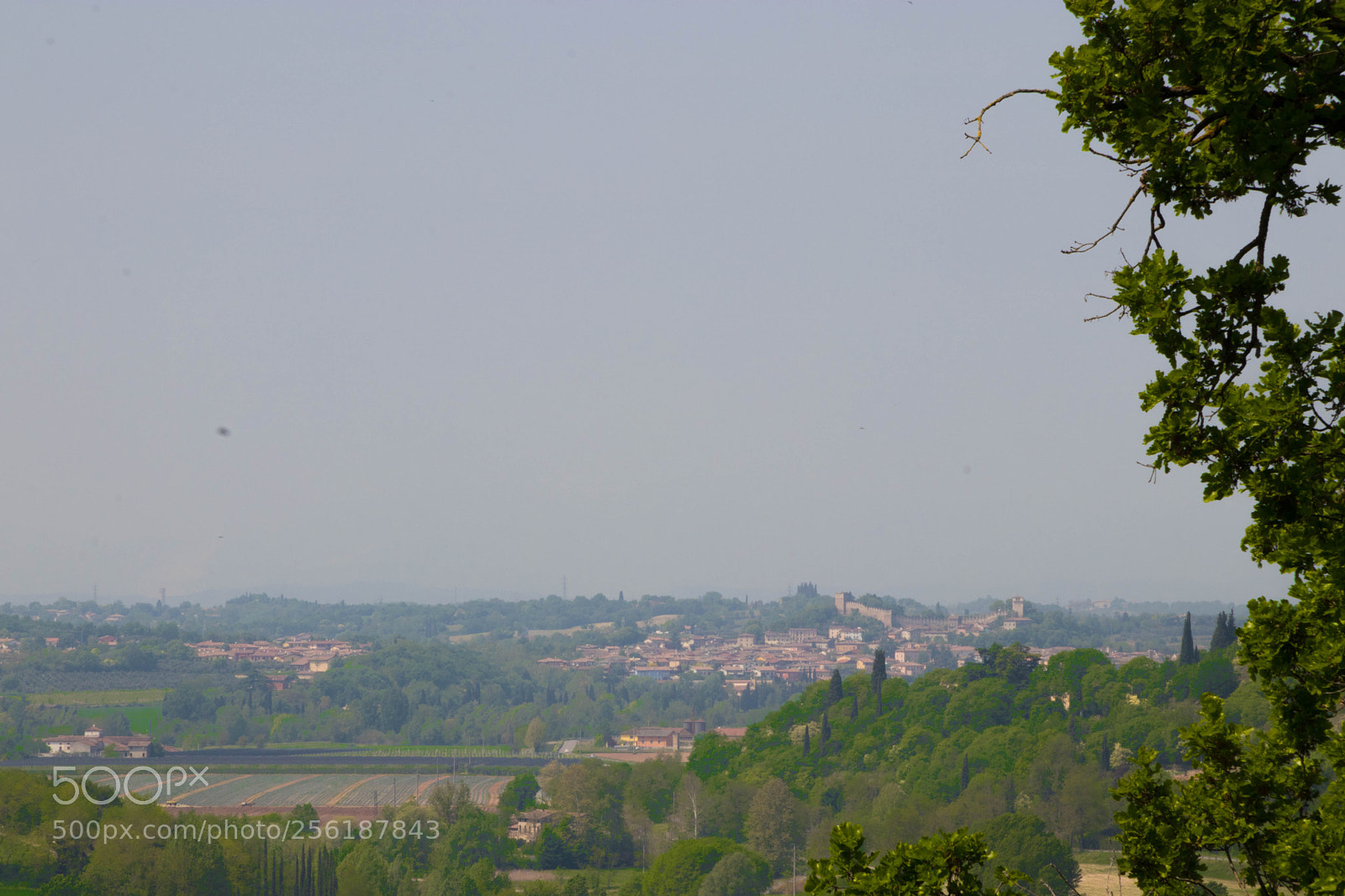 Canon EOS 80D sample photo. Sigurtà+ borghetto photography