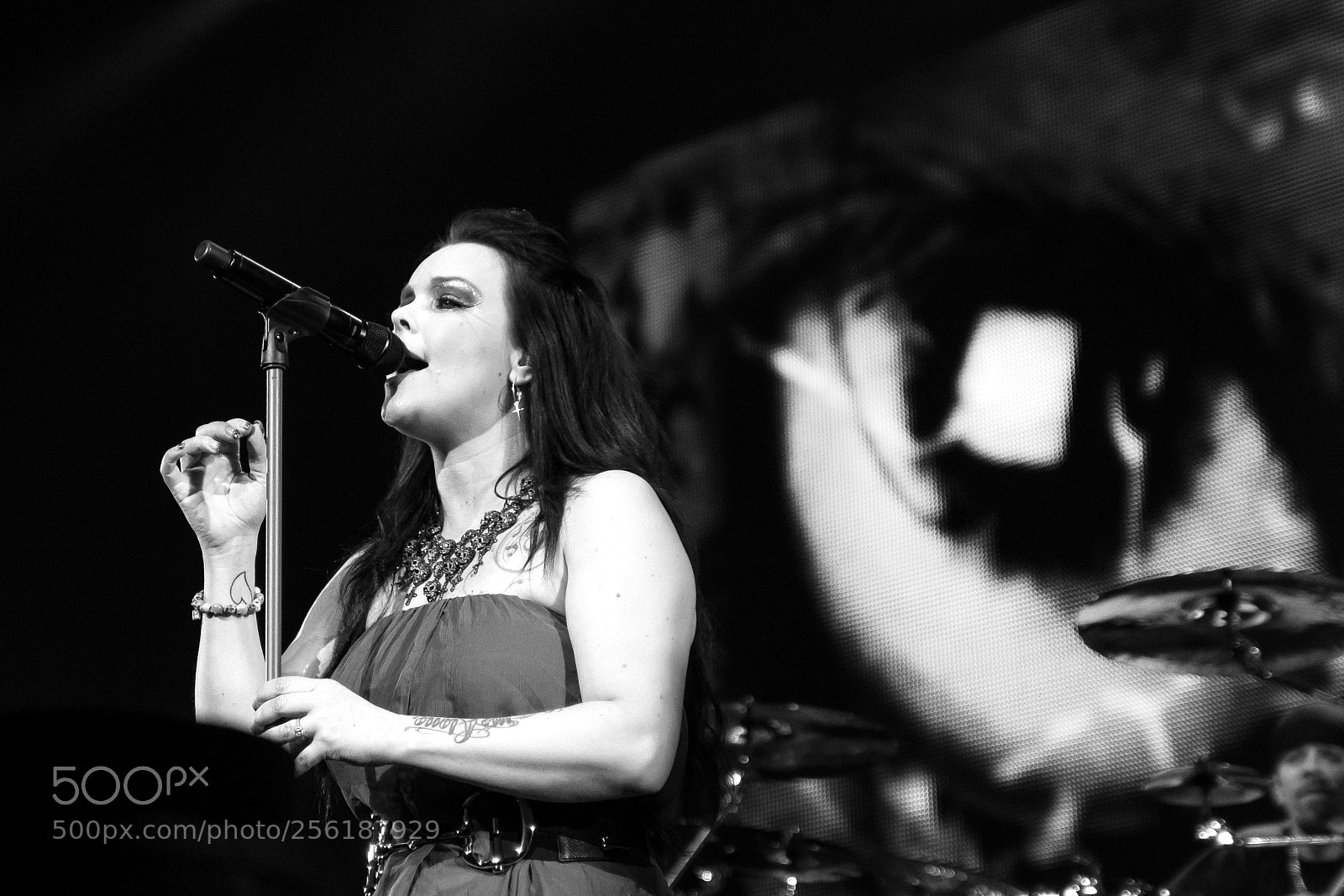 Canon EOS 550D (EOS Rebel T2i / EOS Kiss X4) sample photo. Nightwish photography