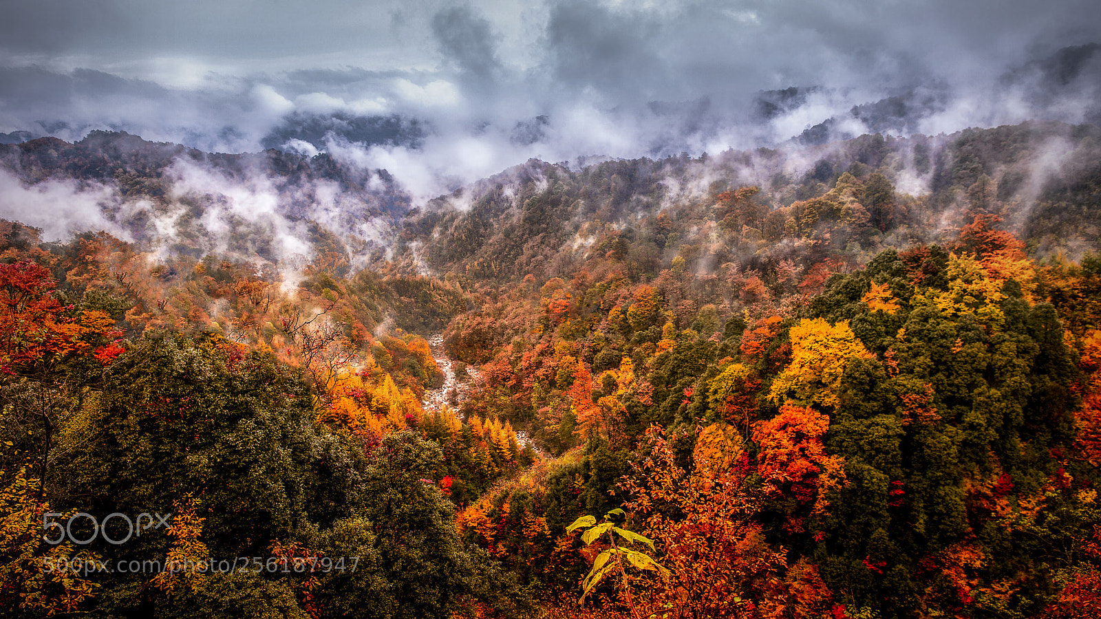 Canon EOS 5D Mark II sample photo. Profound autumn in mt photography