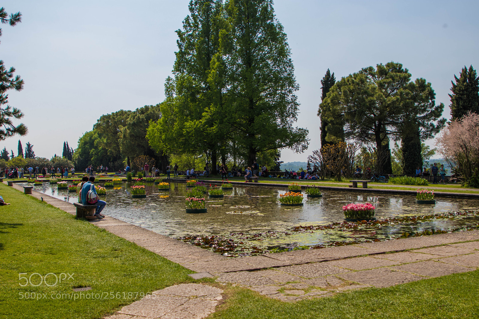 Canon EOS 80D sample photo. Sigurtà+ borghetto photography