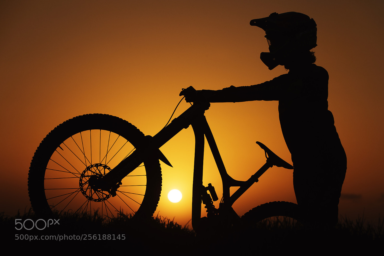 Canon EOS-1D X Mark II sample photo. Silhouette ride photography