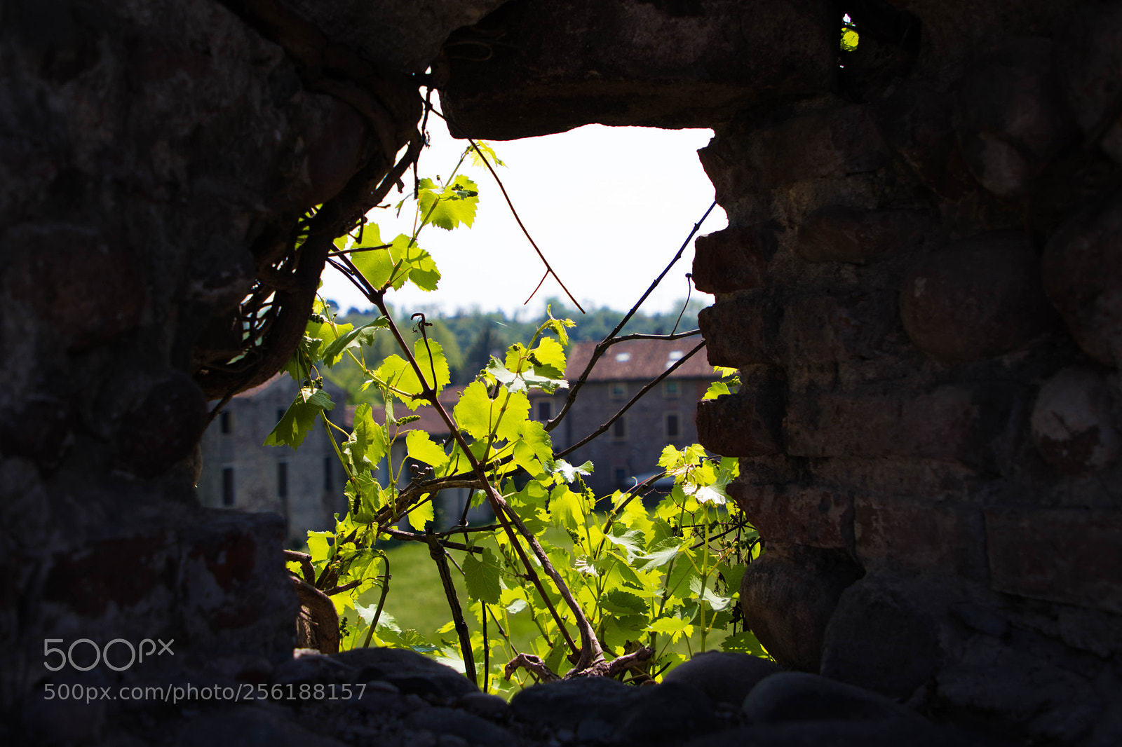 Canon EOS 80D sample photo. Borghetto photography