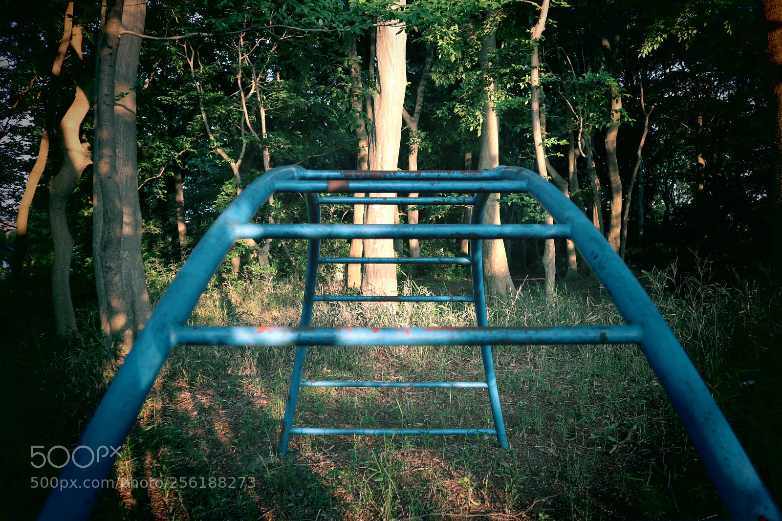 Canon EOS M3 sample photo. Park2 photography