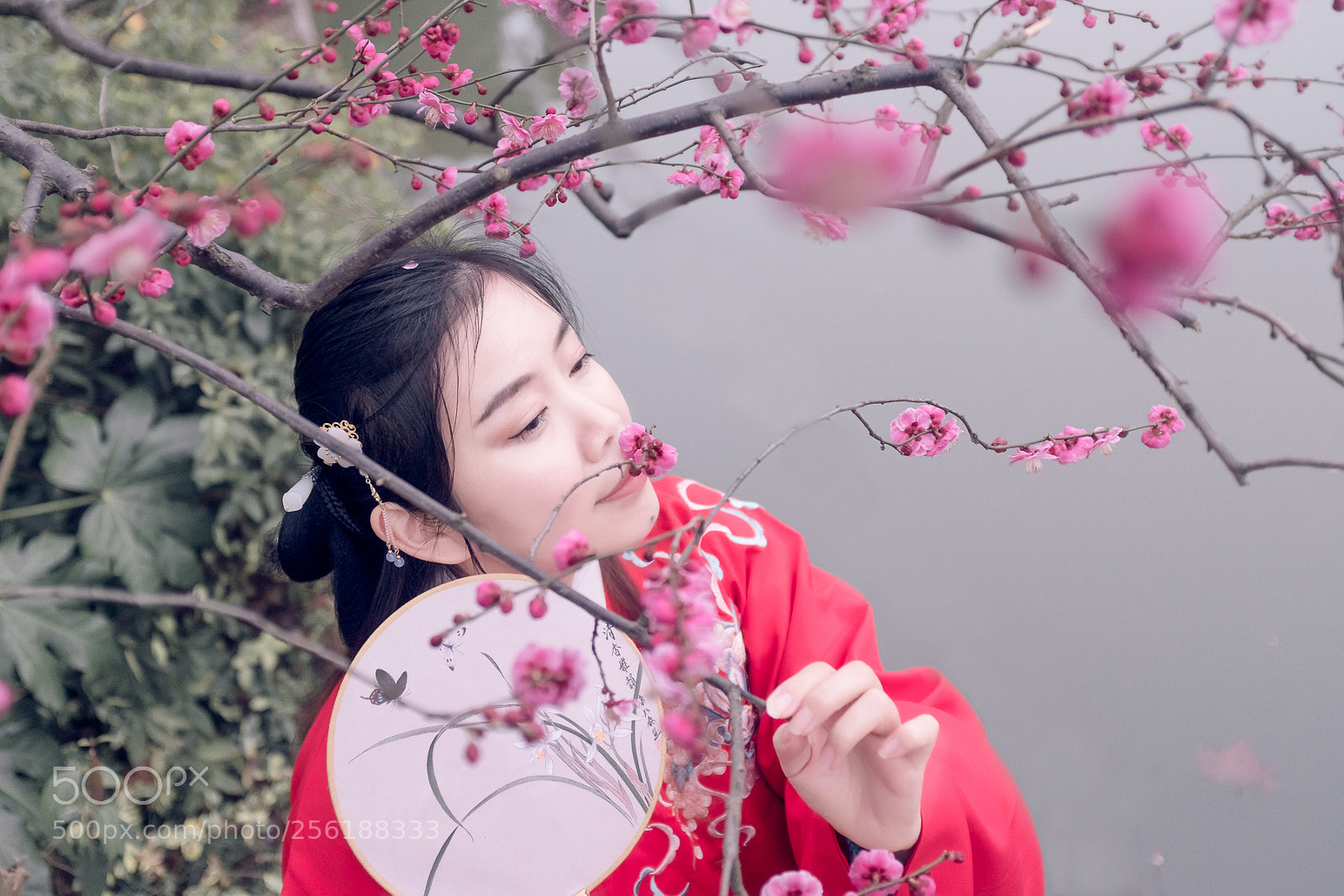 Fujifilm X100F sample photo. 人面桃花 photography