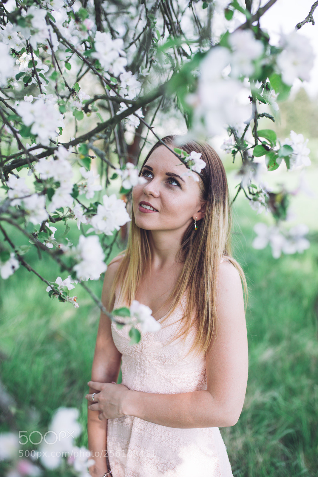 Canon EOS 6D sample photo. Spring photography
