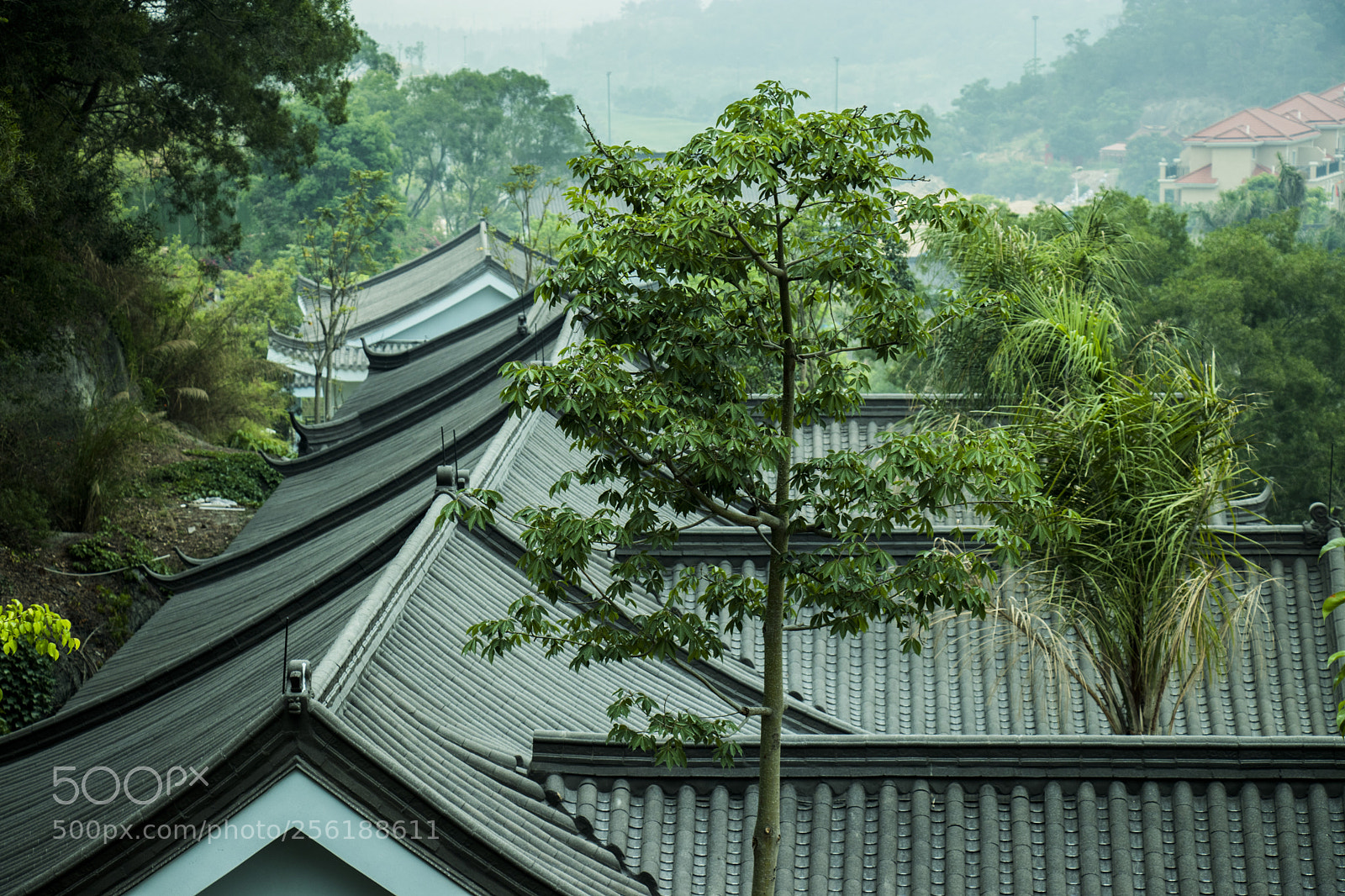 Canon EOS 80D sample photo. Chinese building photography