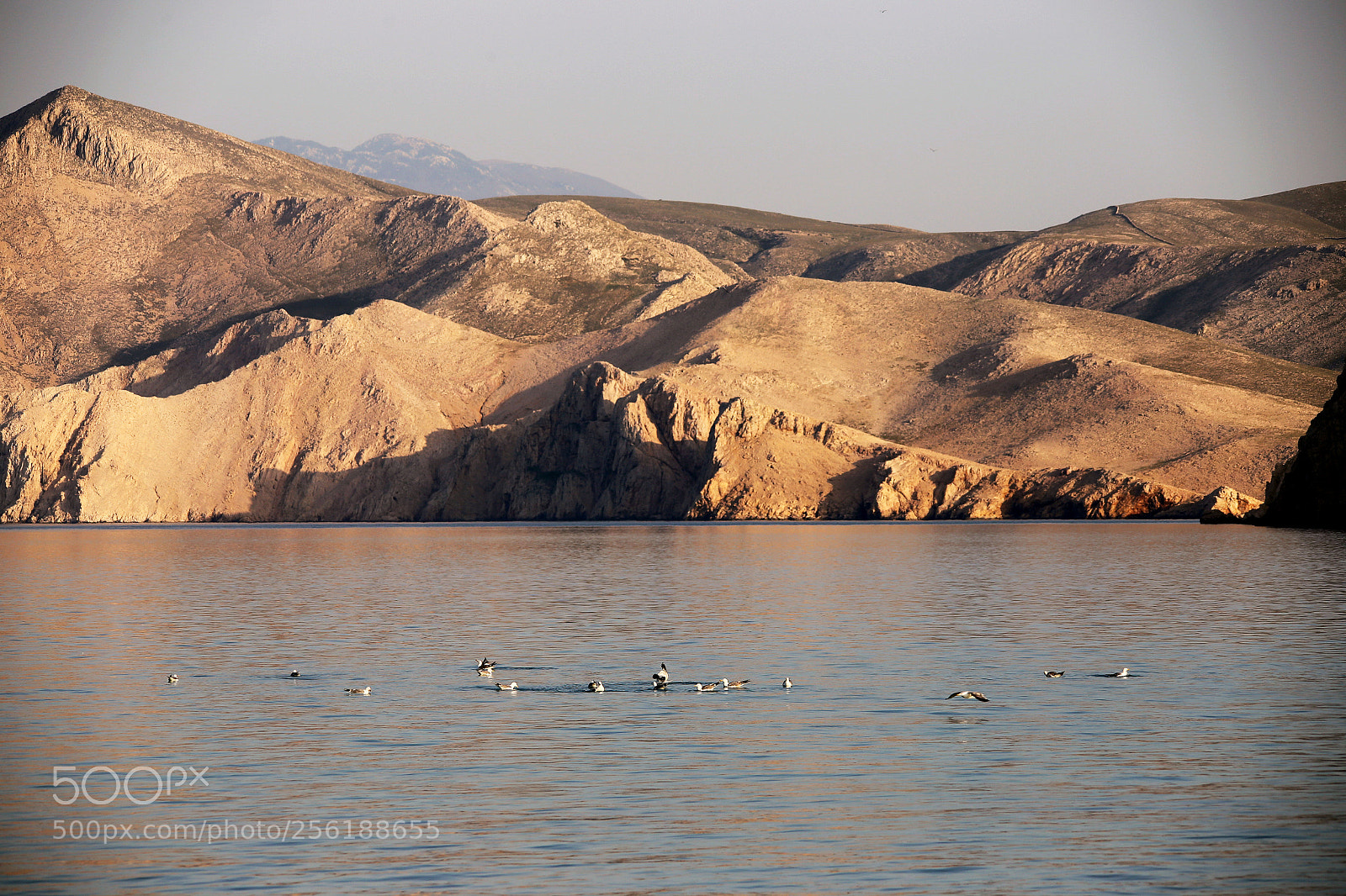Canon EOS 6D sample photo. Img photography