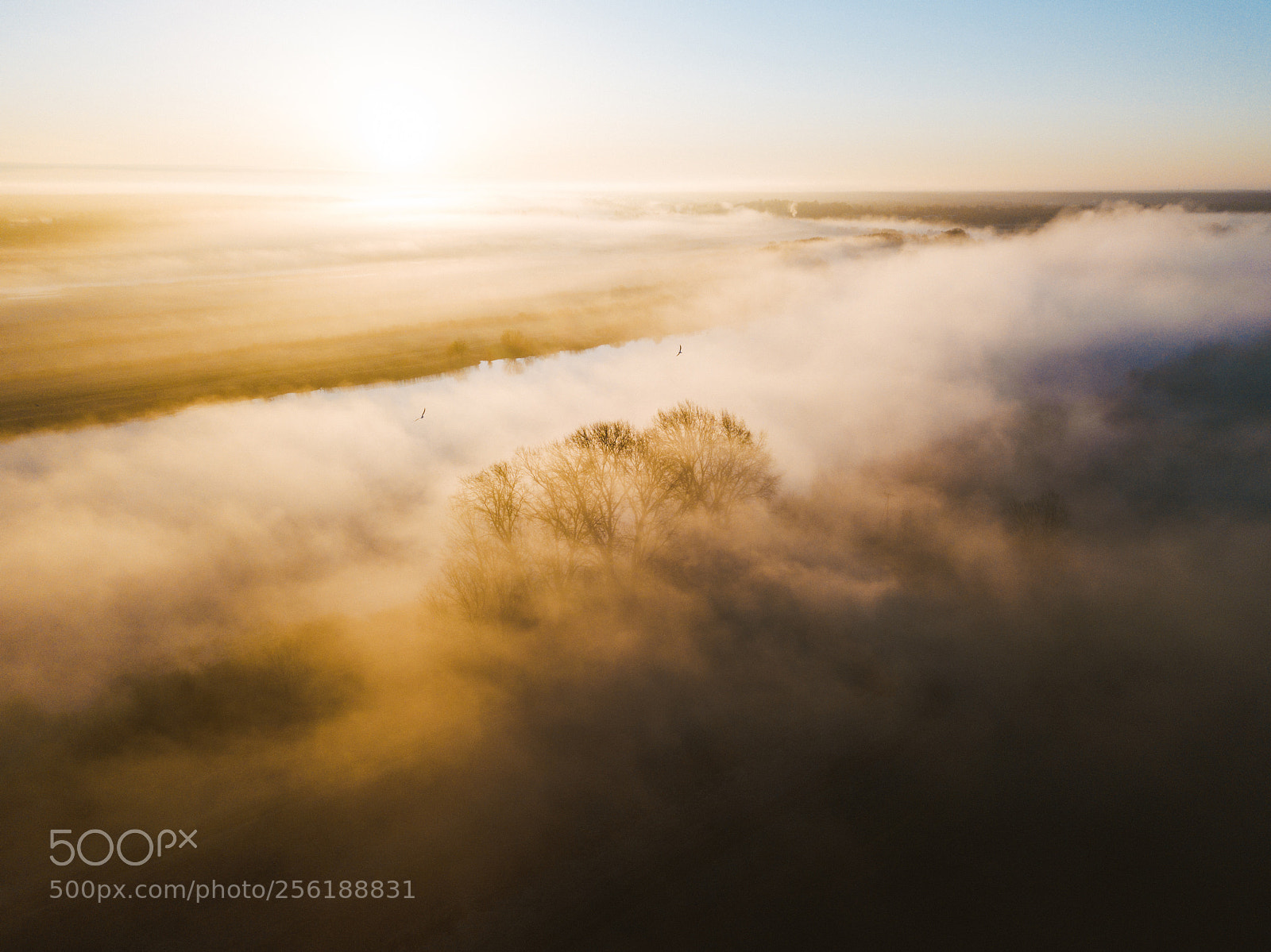 DJI FC220 sample photo. Untitled photography
