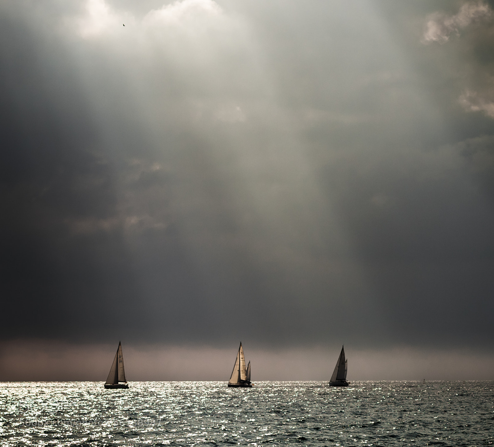 Canon EOS 5D Mark II sample photo. Regata photography