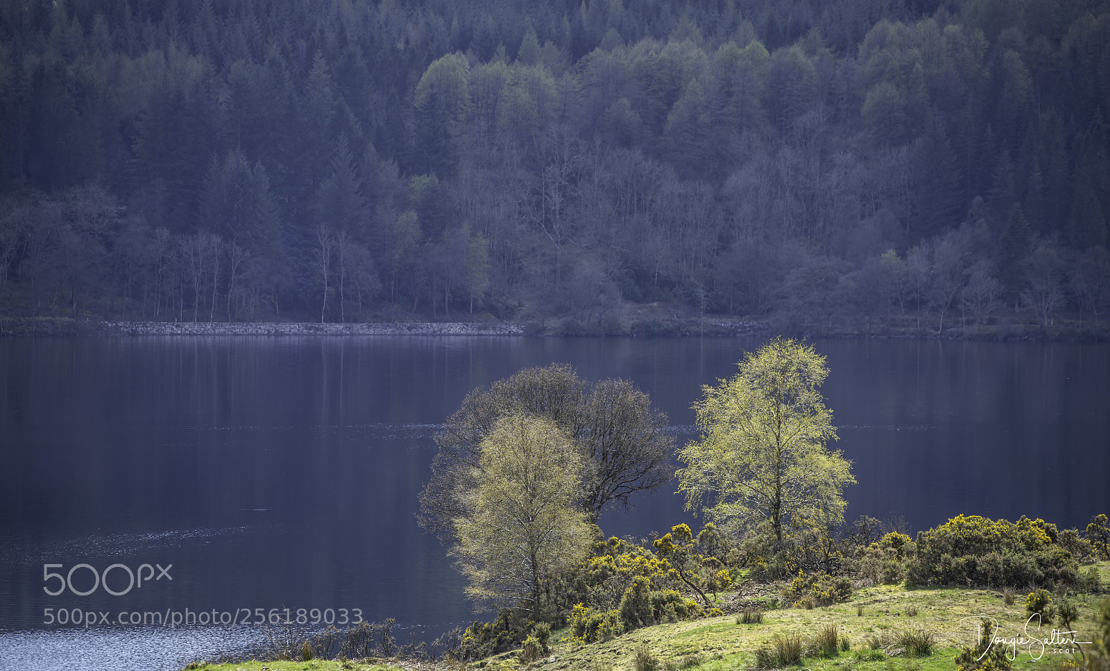 Sony a7R II sample photo. Loch venachar... photography