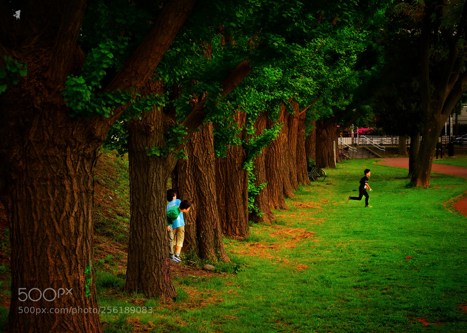 Nikon D3300 sample photo. Children's interest photography