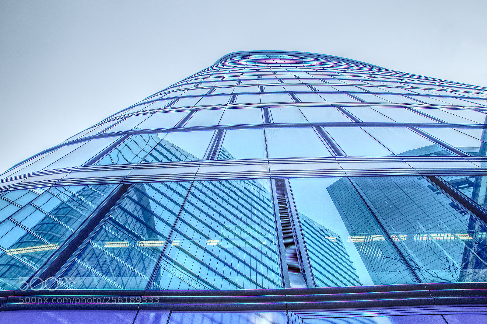 Sony SLT-A58 sample photo. Reflect photography
