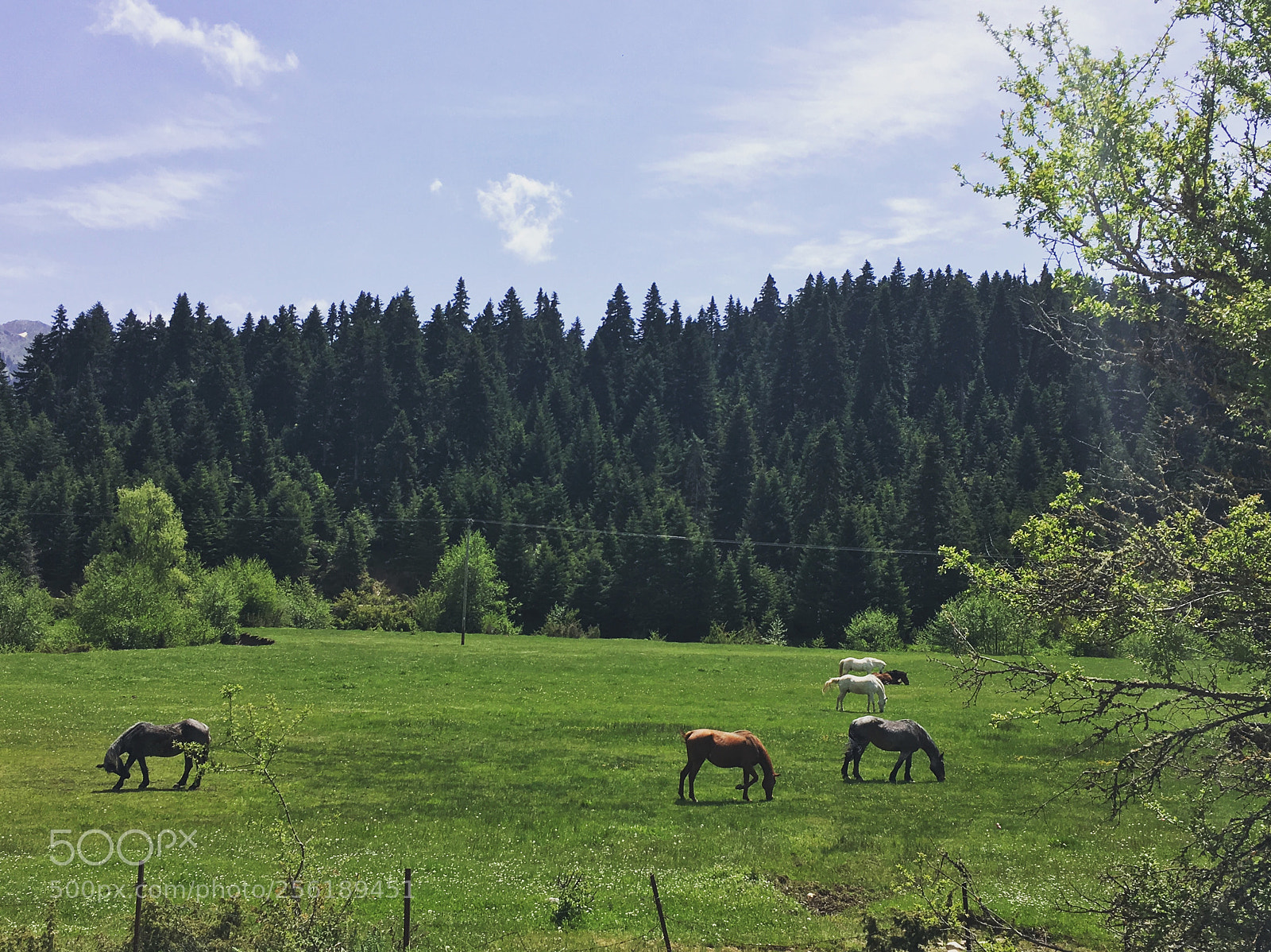 Apple iPhone 6s sample photo. Between mountains photography