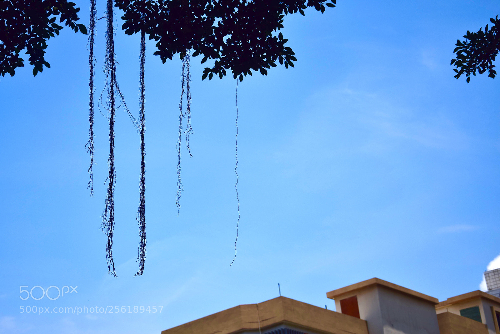 Nikon D5300 sample photo. Untitled photography