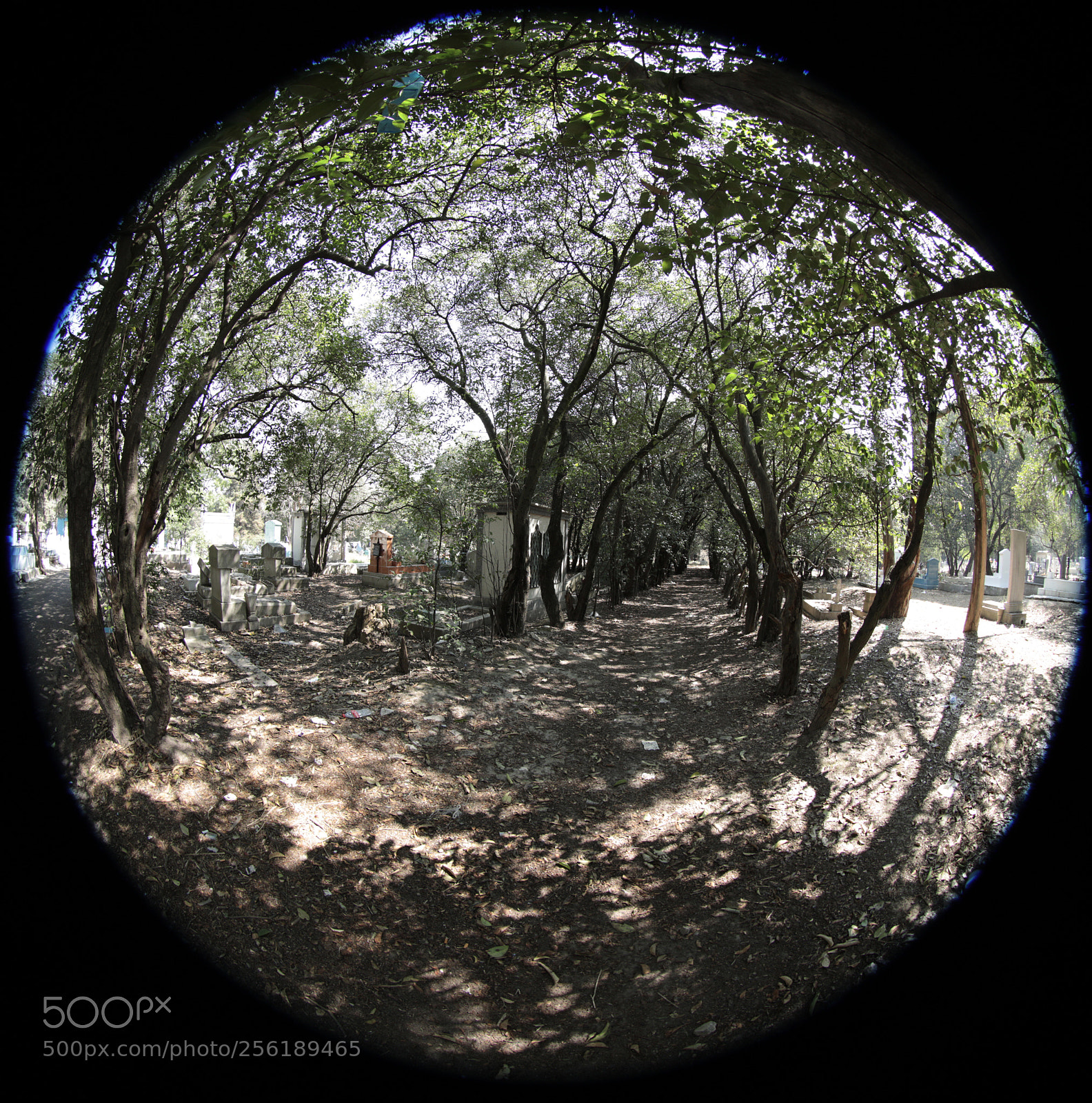 Canon EOS 5DS R sample photo. Caminos  photography