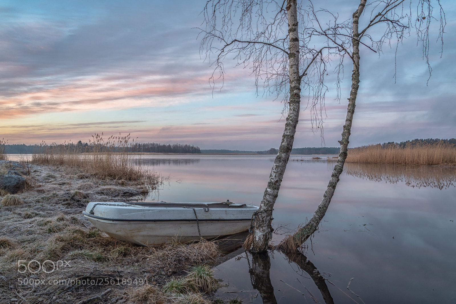 Nikon D5500 sample photo. Morning colors photography