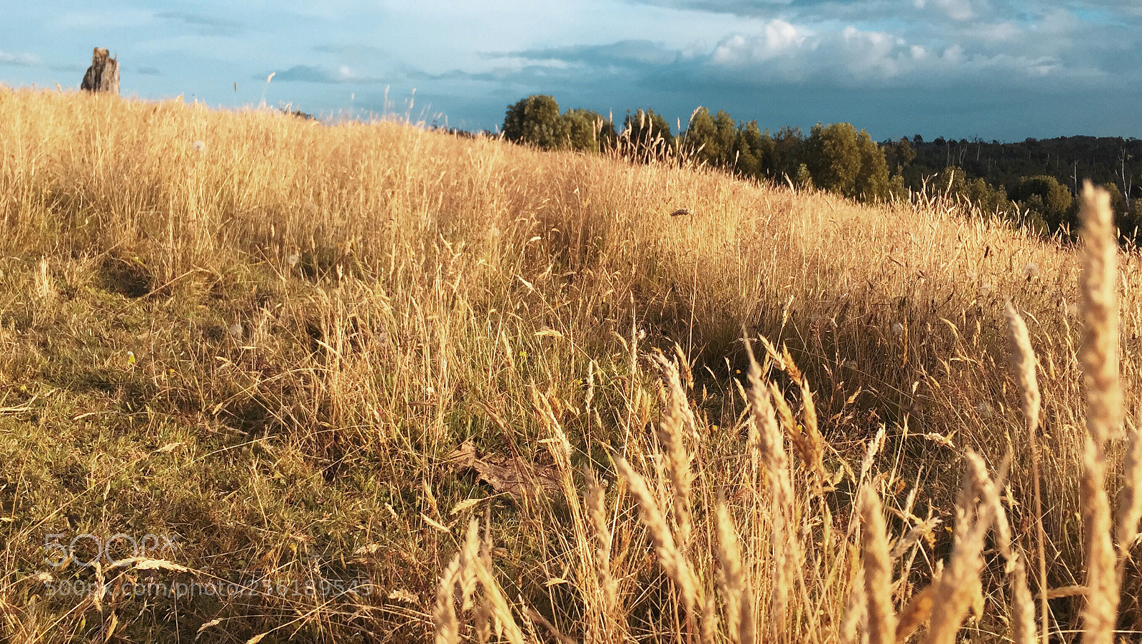 Apple iPhone 6 sample photo. Southern countryside photography