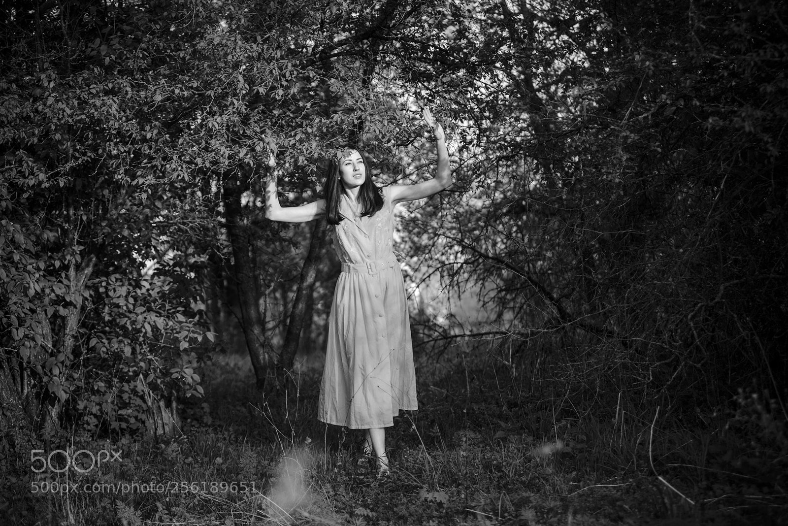 Nikon D610 sample photo. Evening in an abandoned photography