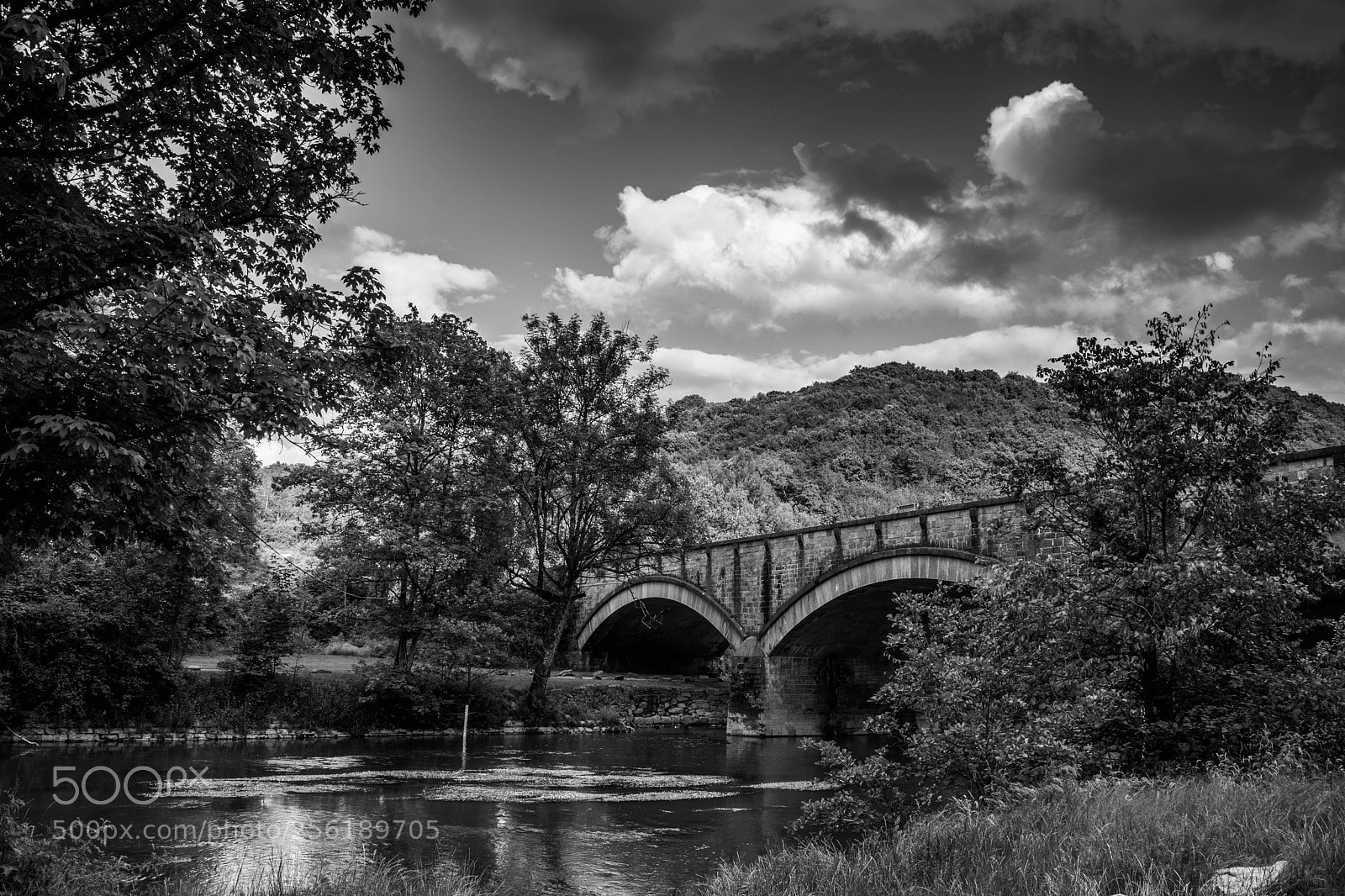 Nikon D5200 sample photo. The bridge photography