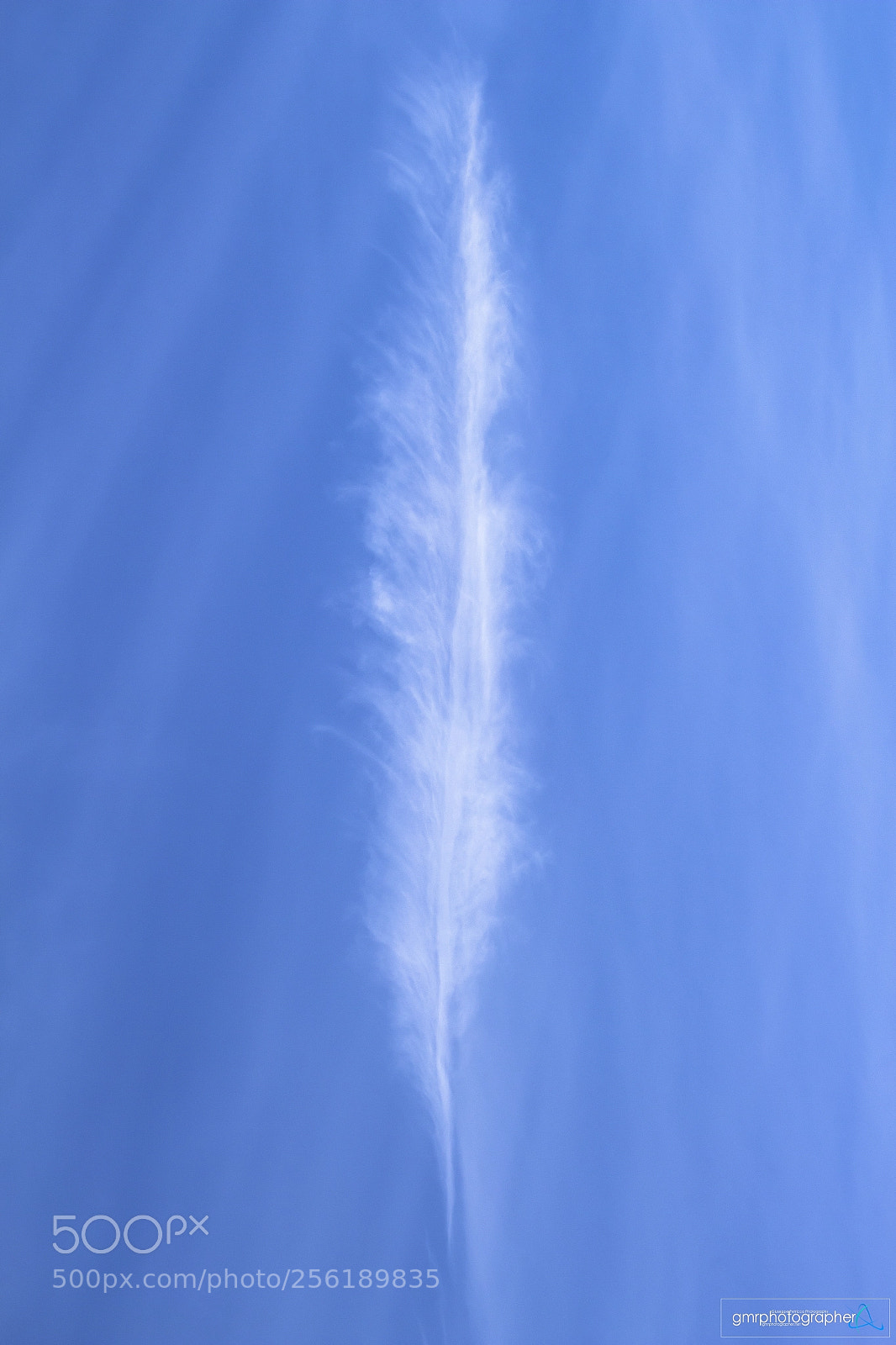 Canon EOS 700D (EOS Rebel T5i / EOS Kiss X7i) sample photo. A feather in the photography