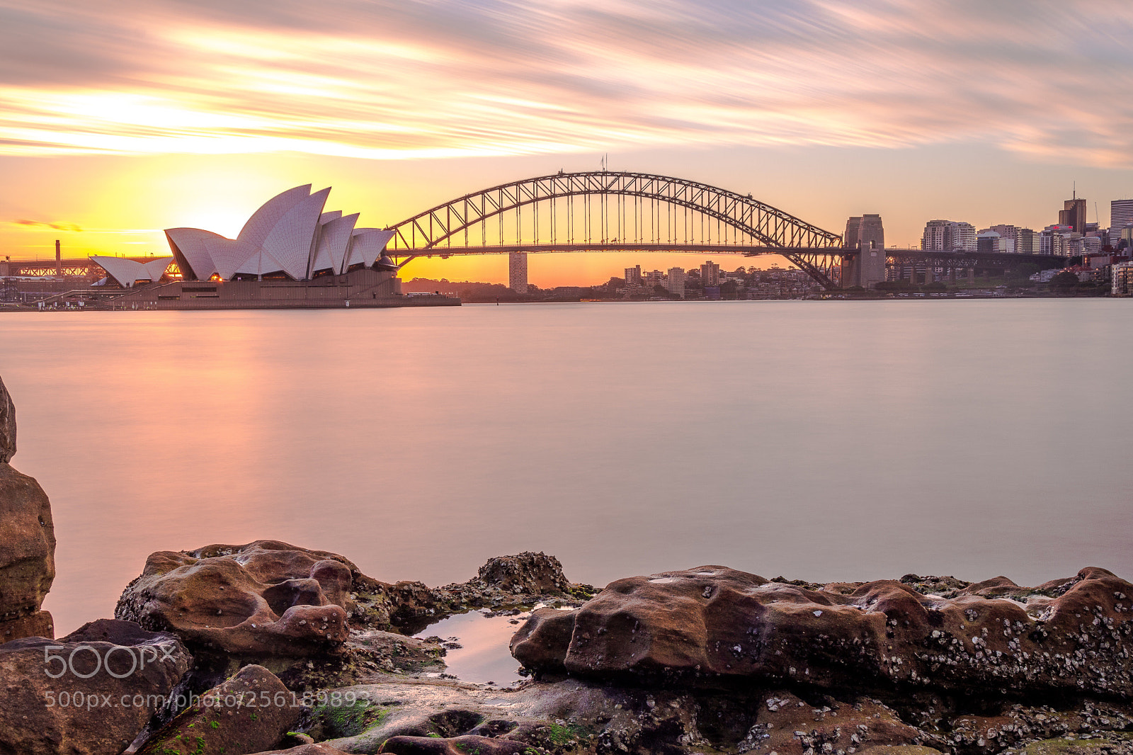 Nikon D5500 sample photo. Mrs macquaries point  photography