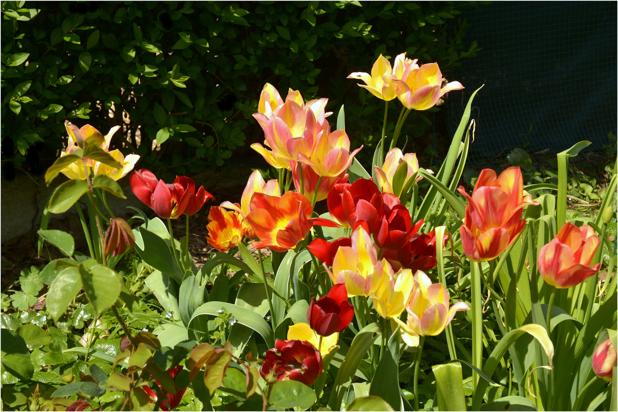 Nikon D5200 sample photo