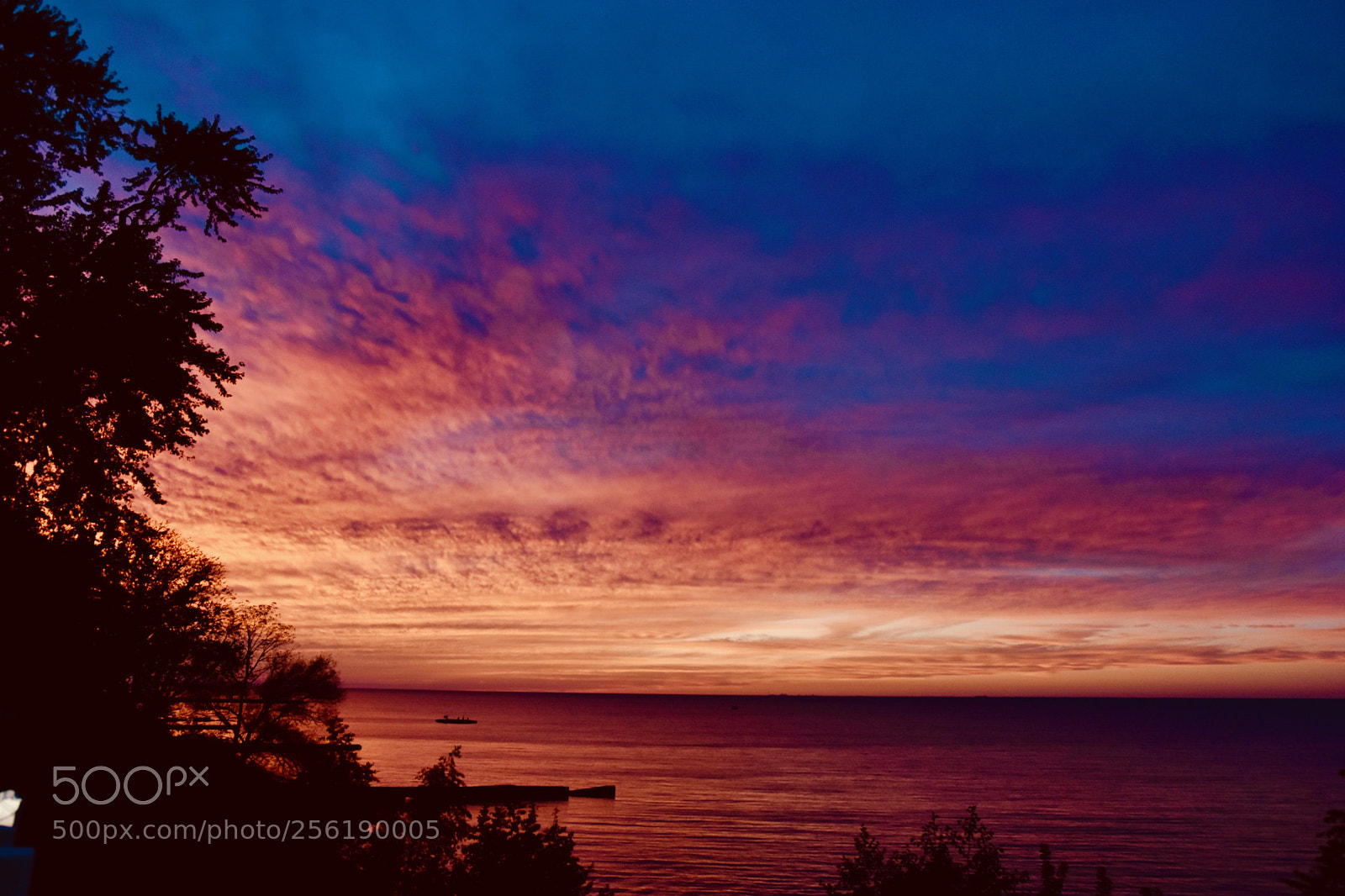 Nikon D5500 sample photo. Golden sky photography