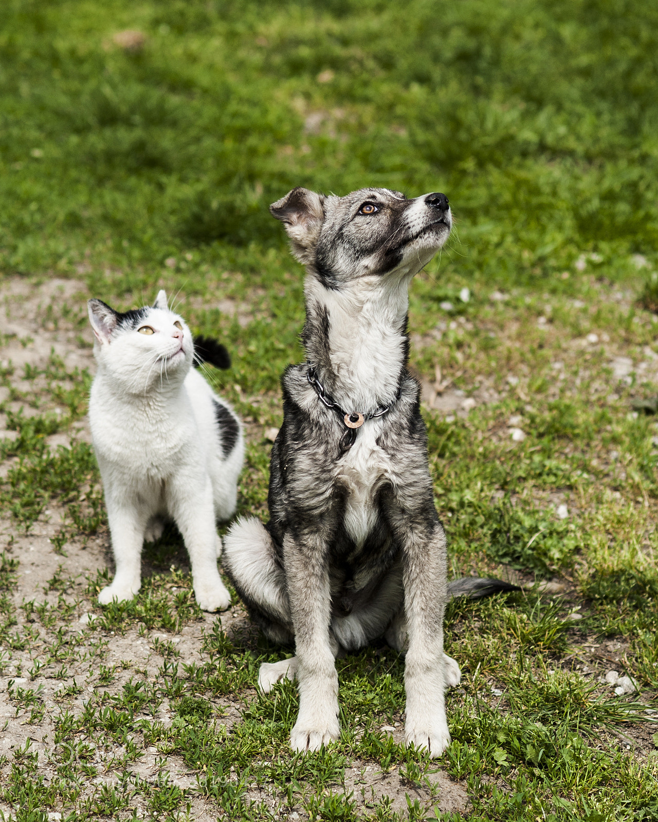 Nikon D700 sample photo. I think this is photography