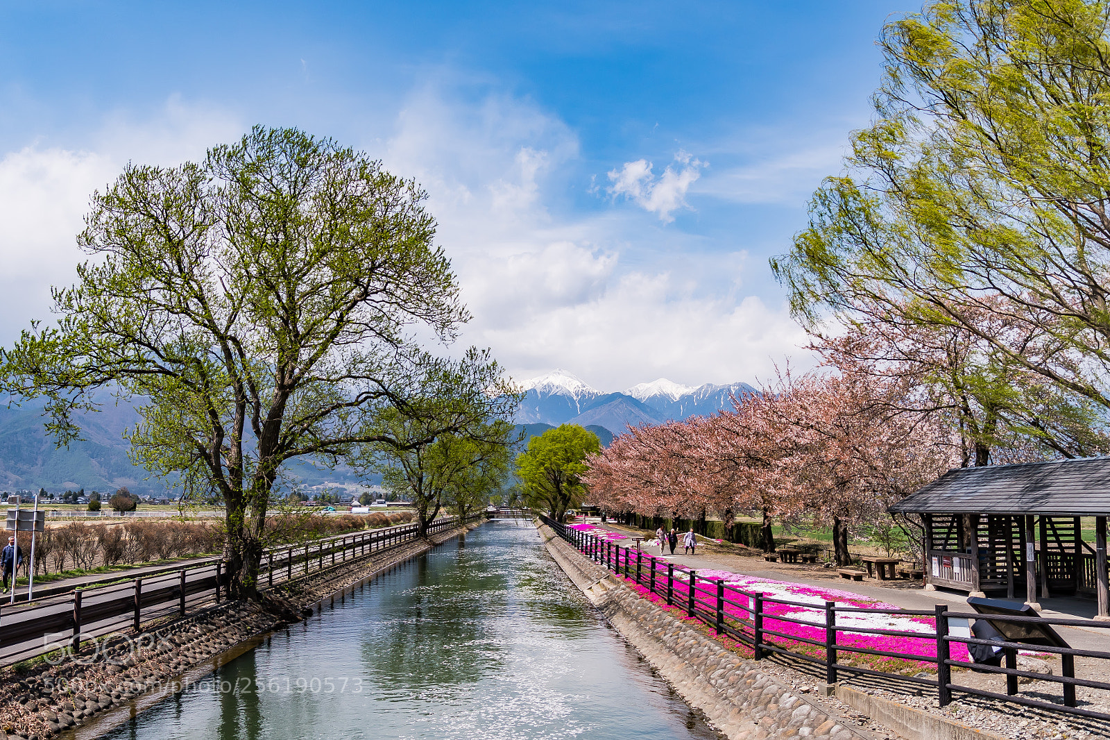 Nikon D500 sample photo. Amazing ! photography