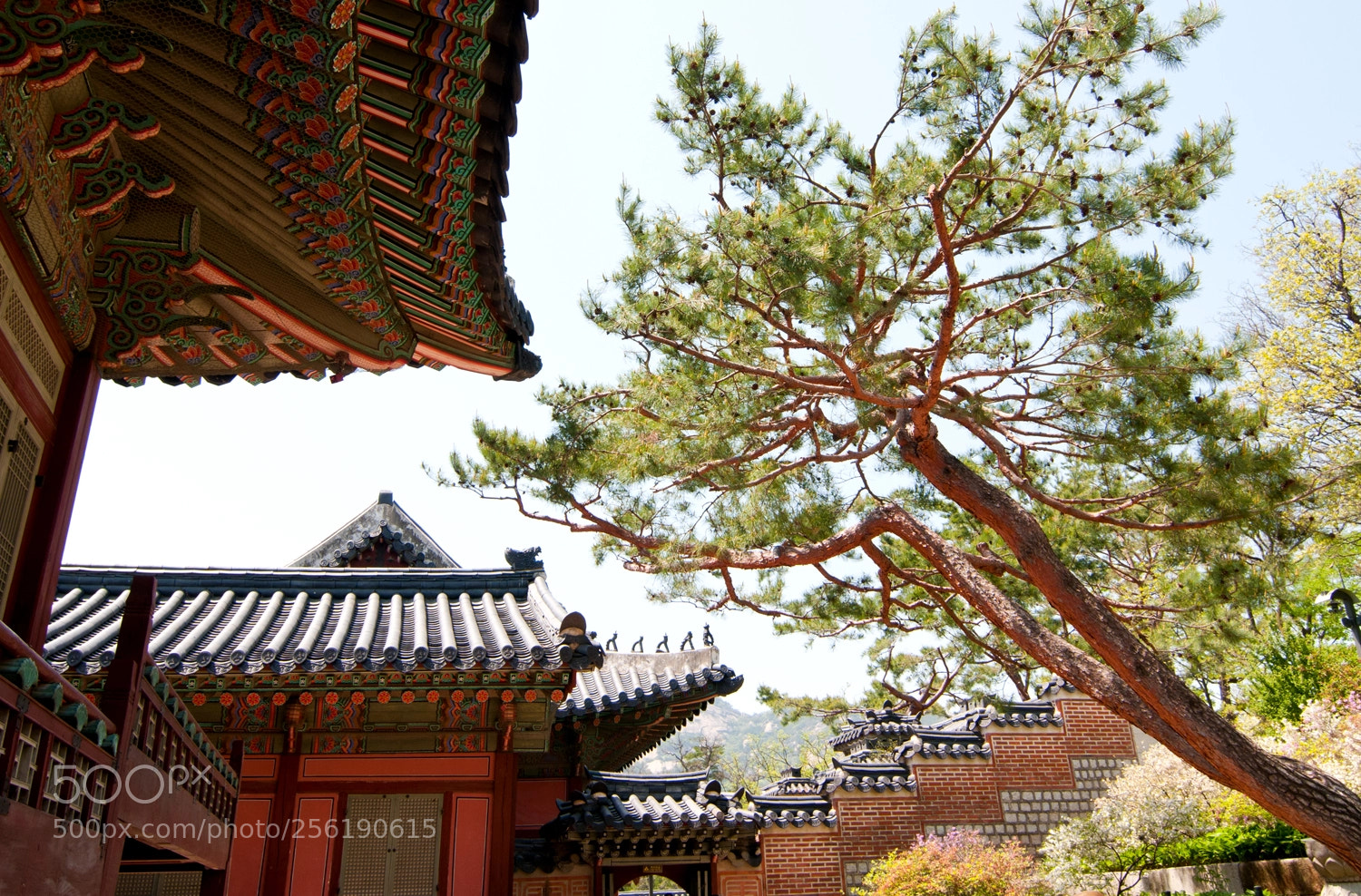 Nikon D300 sample photo. Palace greatly blessed by photography