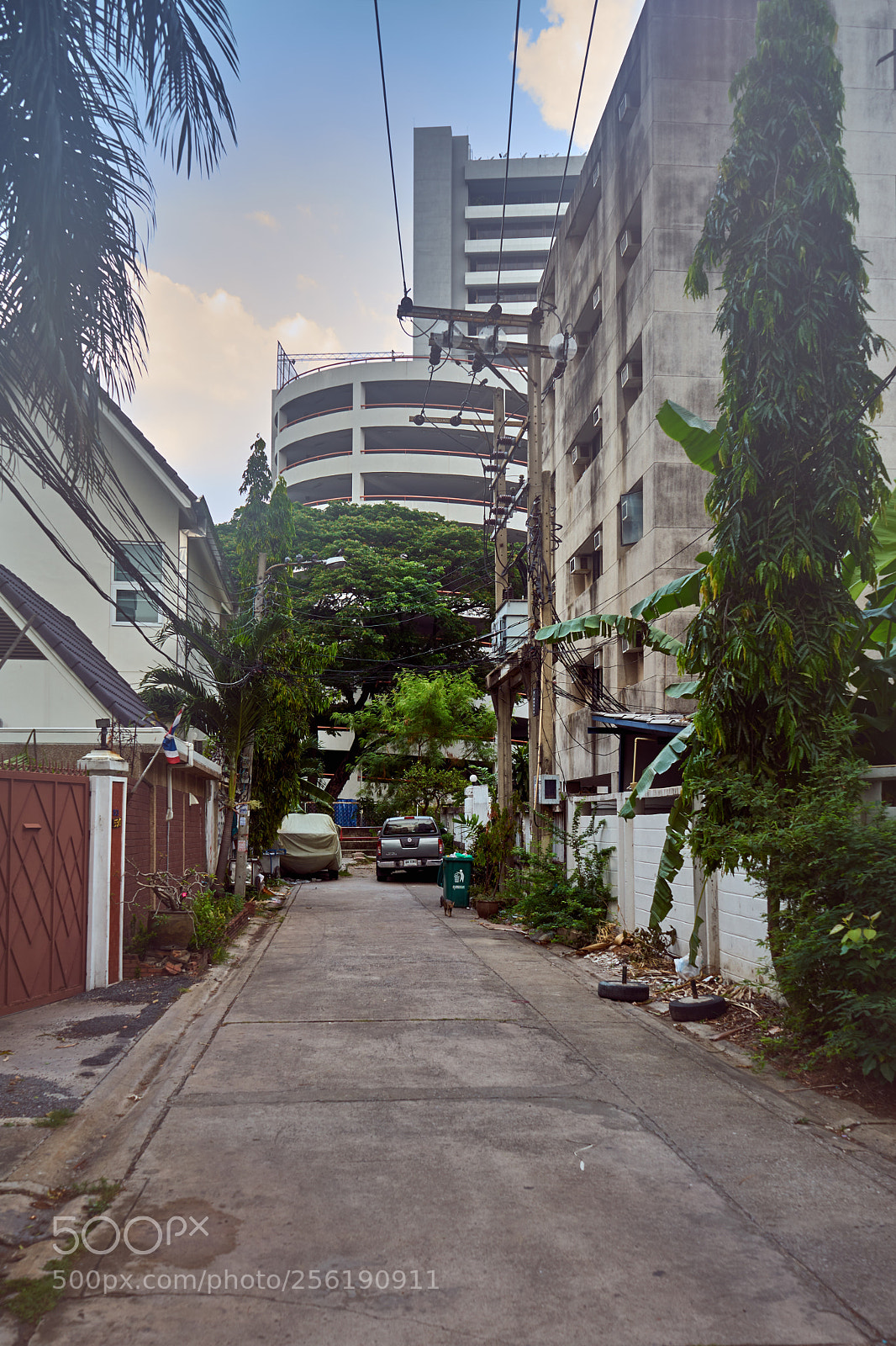 Sony a7 sample photo. Apr photography