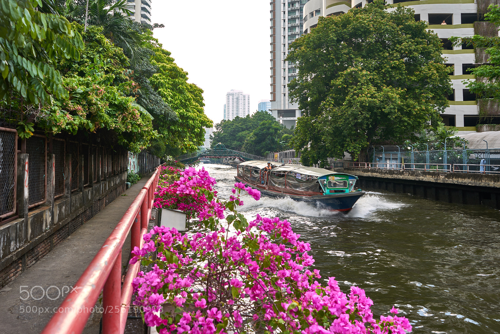 Sony a7 sample photo. Apr photography