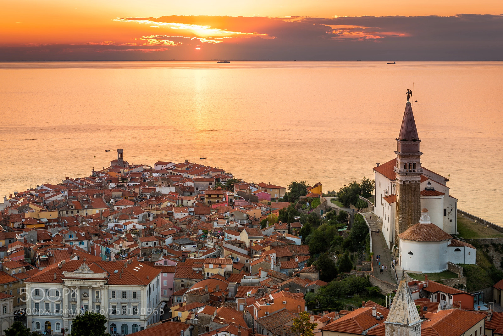 Nikon D750 sample photo. Sunset over adriatic sea photography