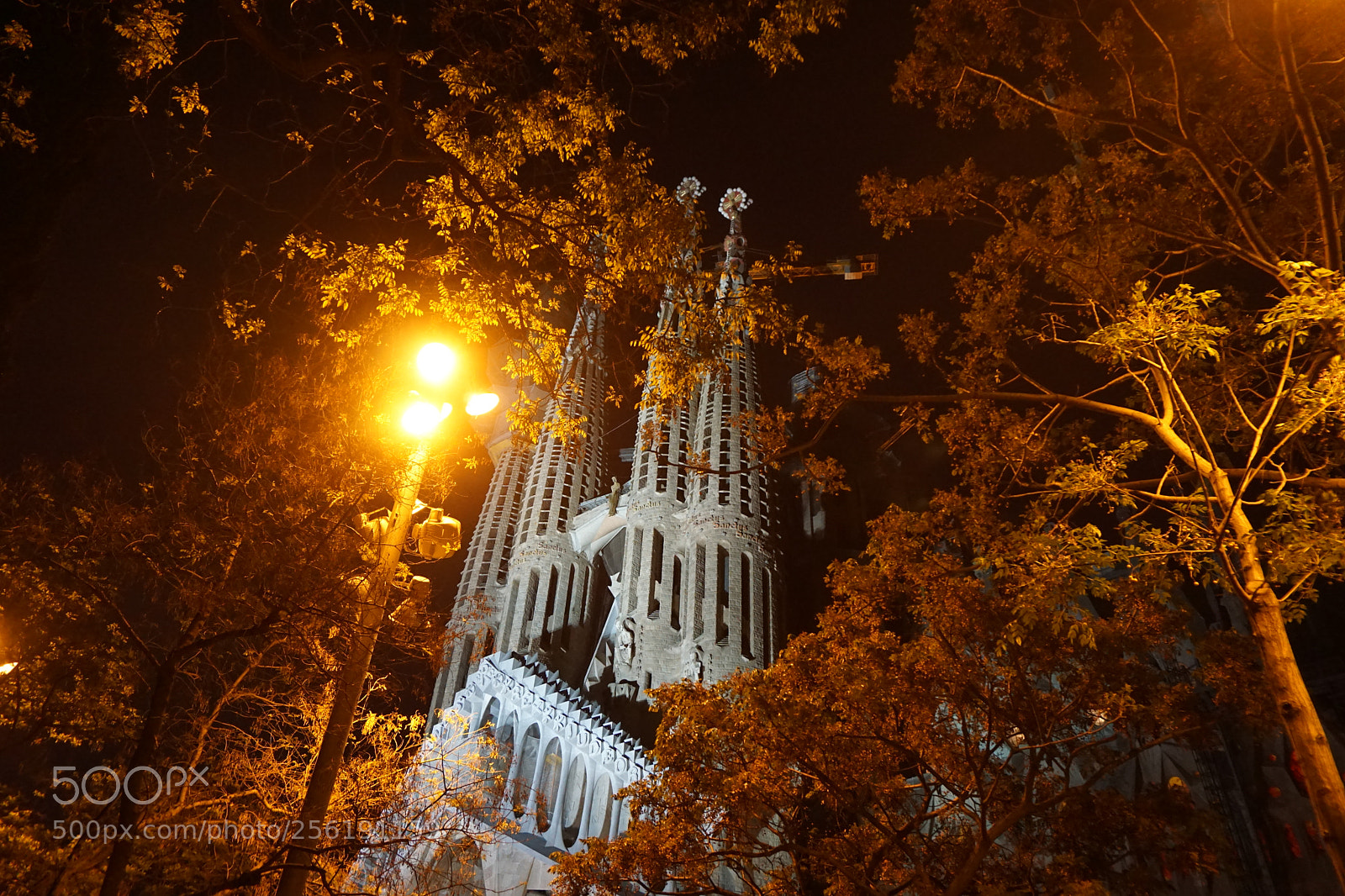 Sony a6000 sample photo. Sagrada at night photography