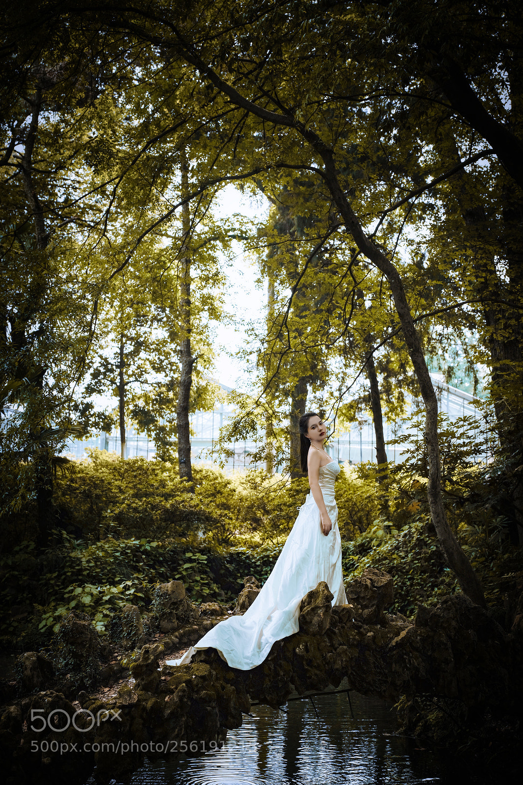Fujifilm GFX 50S sample photo. Untitled photography